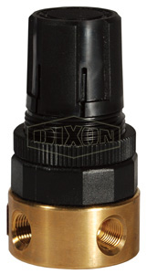Wilkerson FRL's RB3 Miniature Water Regulator