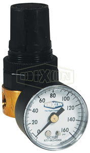 Wilkerson FRL's RB3 Miniature Water Regulator