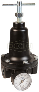 R119 Watts FRL's Standard Regulator