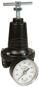 R119 Watts FRL's Standard Regulator