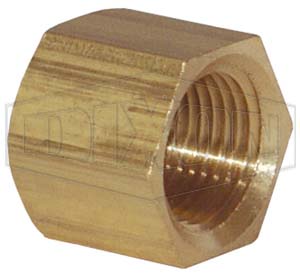 NPT Pipe Cap