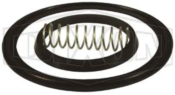 Spring Check Valve Repair Kit