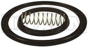 Spring Check Valve Repair Kit