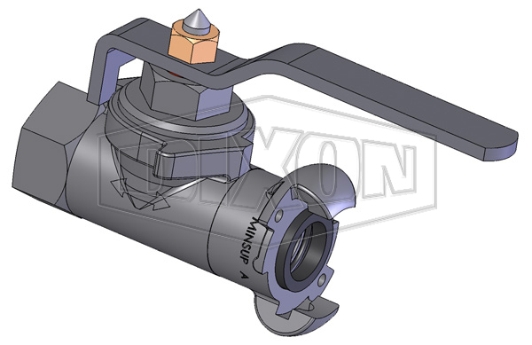 Minsup Econovalve Female x A-Type Ball Valve