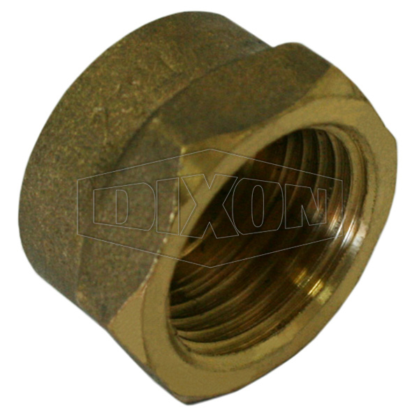 BSP Pipe Cap