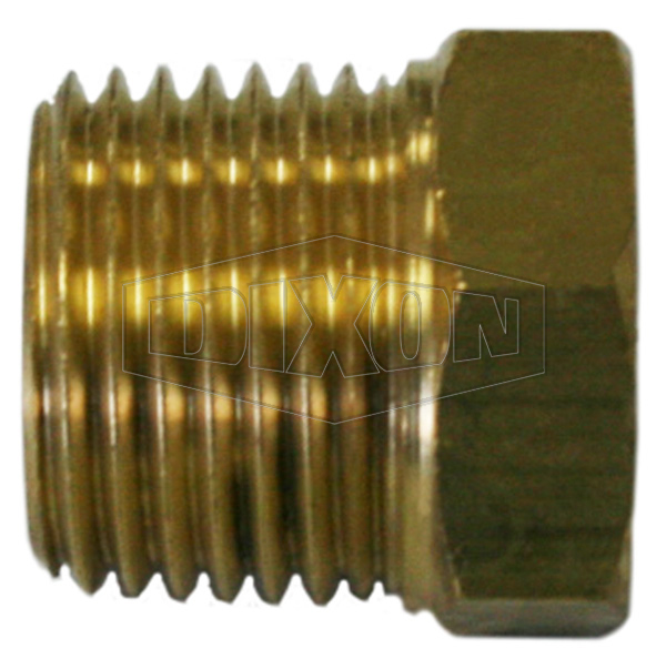 Plug Hex BSP