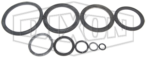 BSP Gasket