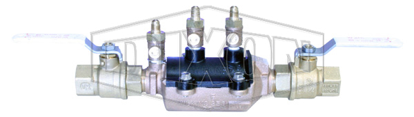 Double Check Valve with Isolation Valve