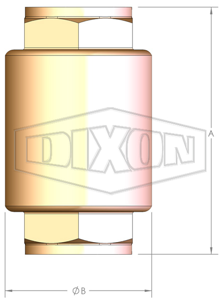 Spring-Loaded Inline Check Valve BSP