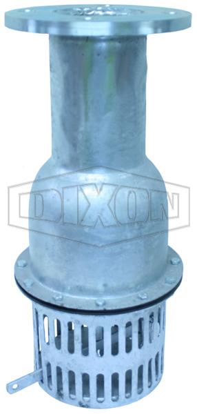 Foot Valve with Flange Table D