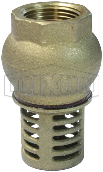 Brass Foot Valve BSP