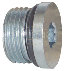 Hollow Hex O-ring Plug