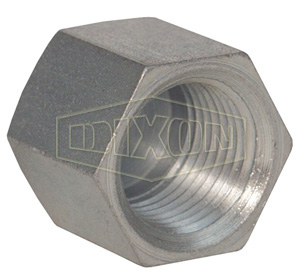 Female NPTF Hex Cap