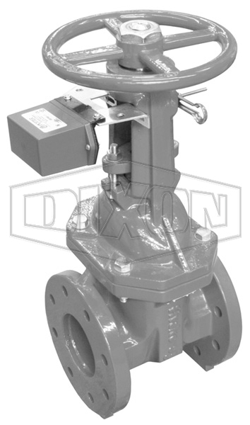 Monitored OS&Y Flanged Gate Valve