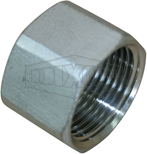 BSP Screwed Hex Cap