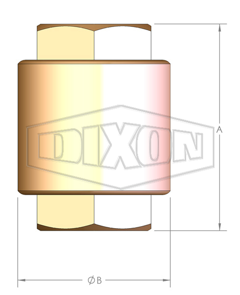 Spring-Loaded Inline Check Valve BSP